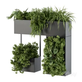 Plant box on wall indoor plants